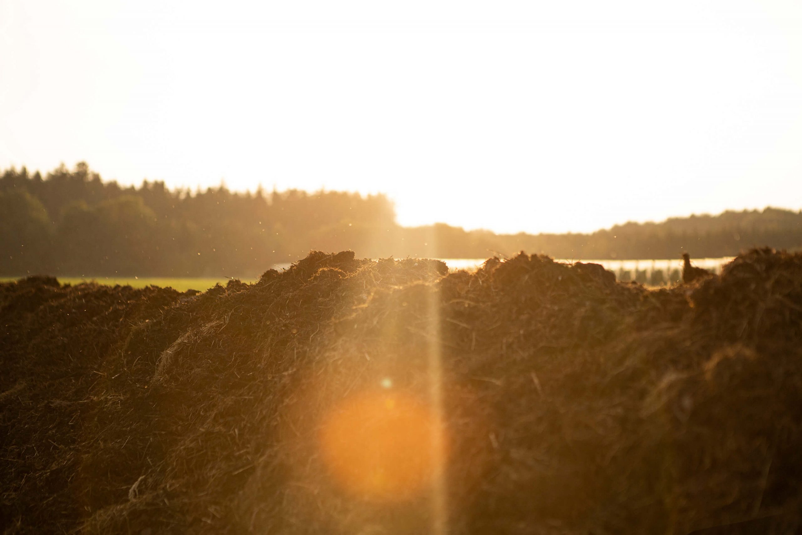 Birkenhof-Aug2020-67