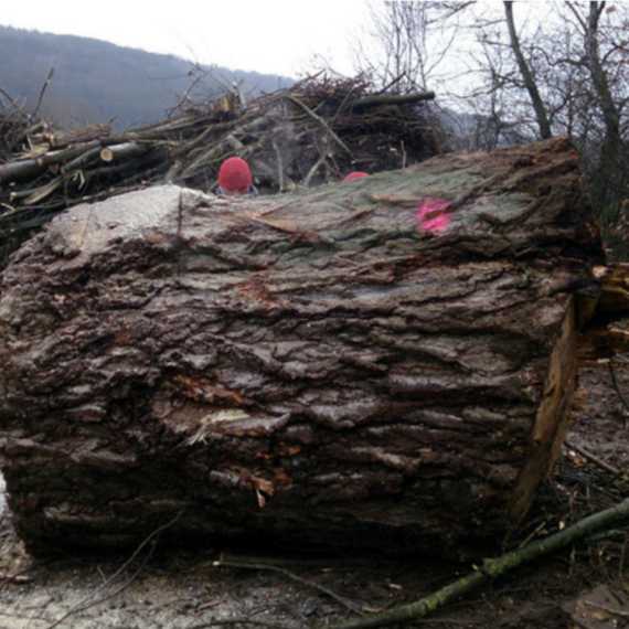 Bildschirmfoto 2023-10-04 um 18.35.11