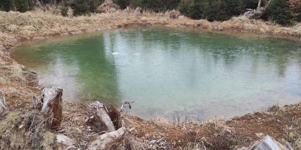 20220302_Grenz-Weiher (2)