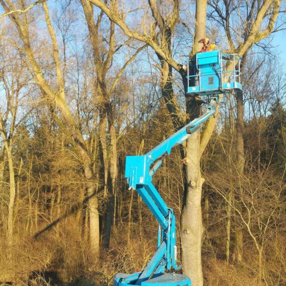 received_541982639323570