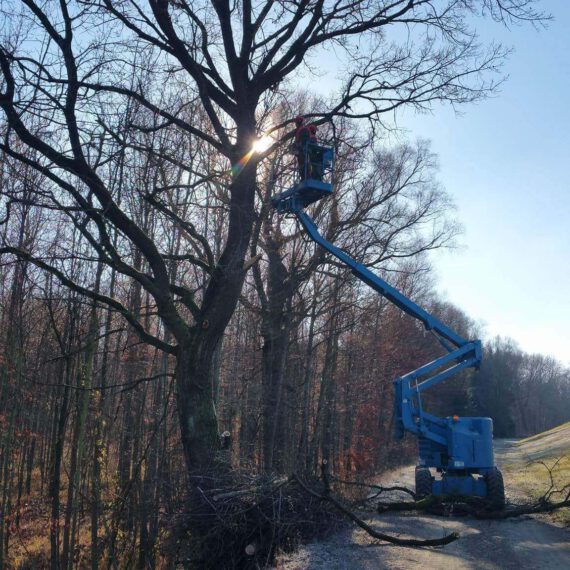 received_541982715990229