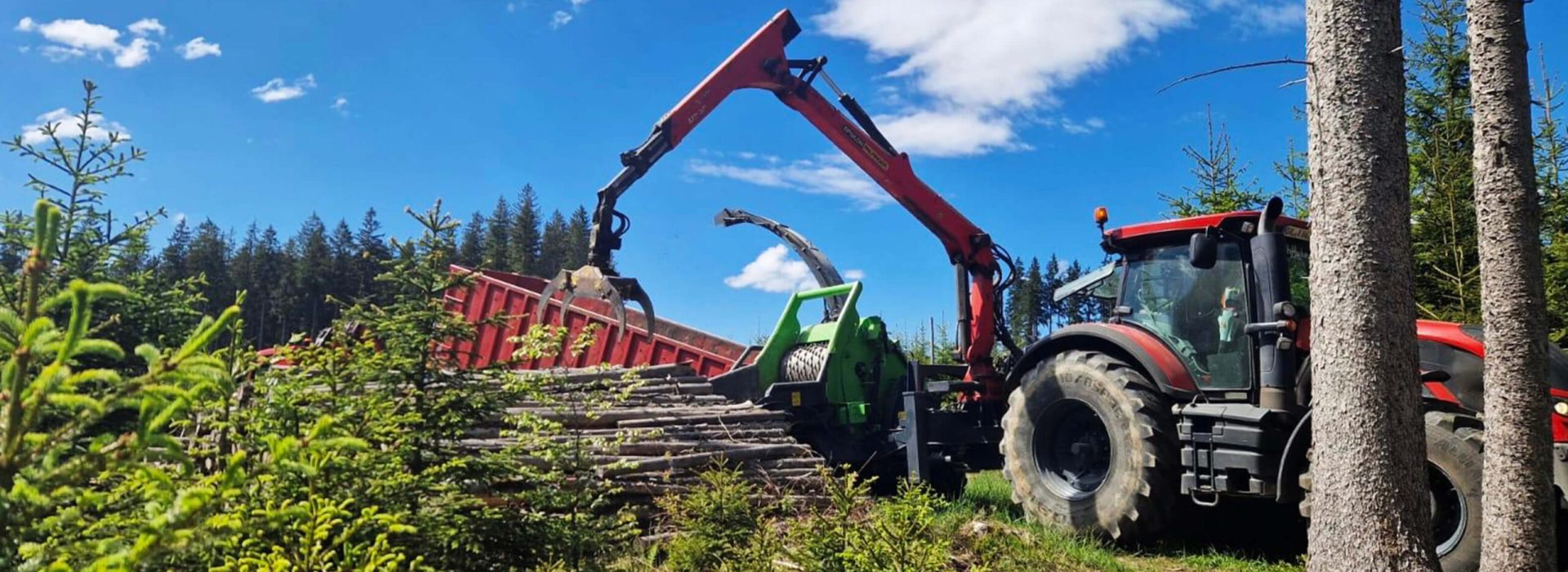 Hackschnitzel-Gewinnung